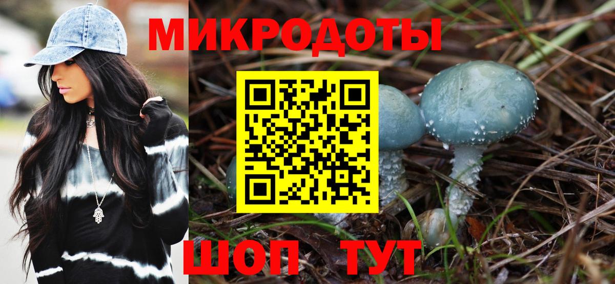 Псилоцибиновые грибы Cubensis  где купить   Чебоксары  Вход с VPN 