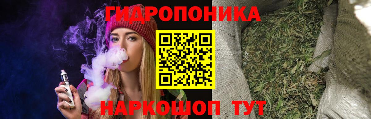 Канабис конопля  Конопля White Widow  Чебоксары  Вход с VPN  МАРИХУАНА сатива 